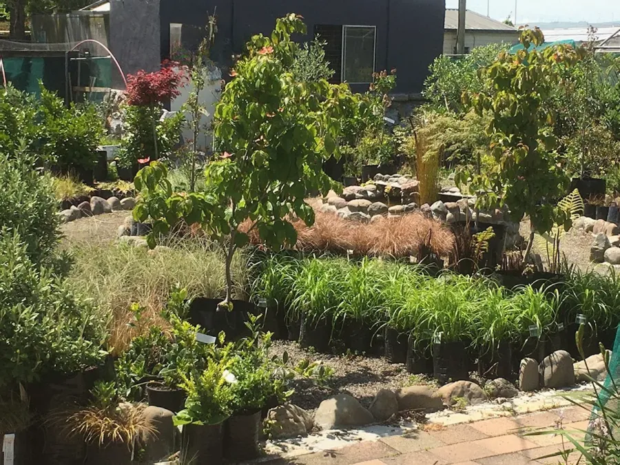 Cleland's plant barn And Landscape Design