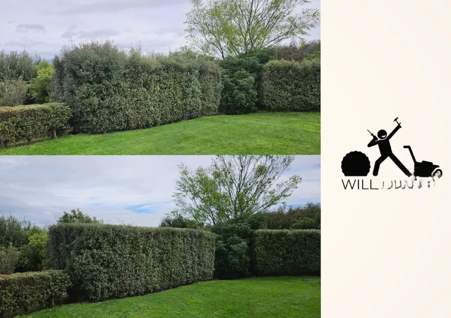 WilliamWill