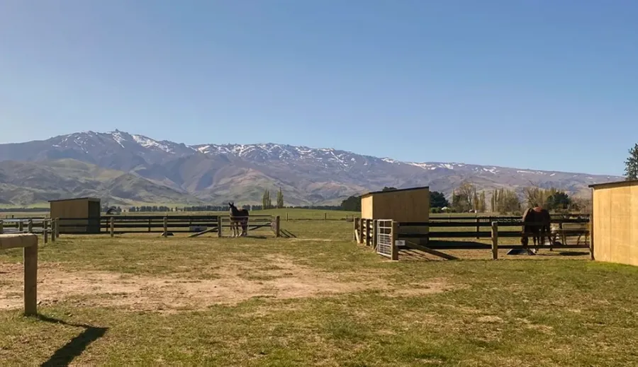 Central Lakes Equine