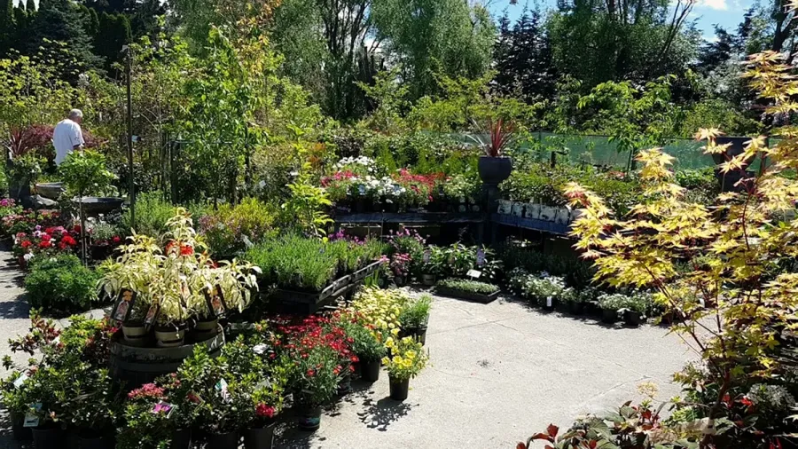 Town and Country Nursery Garden Centre