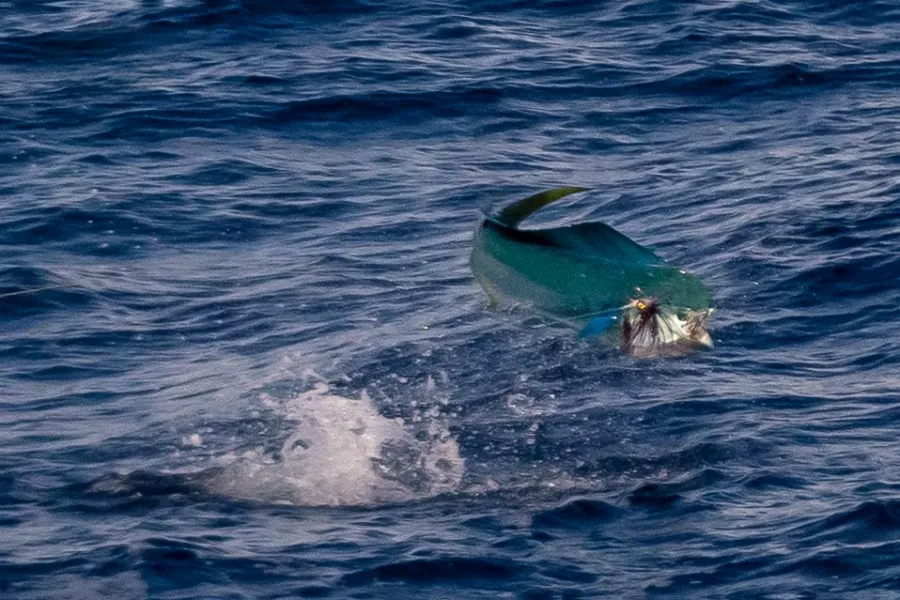 Troppo Fishing Adventures