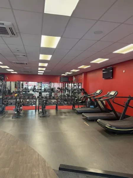 The Sports Clinic