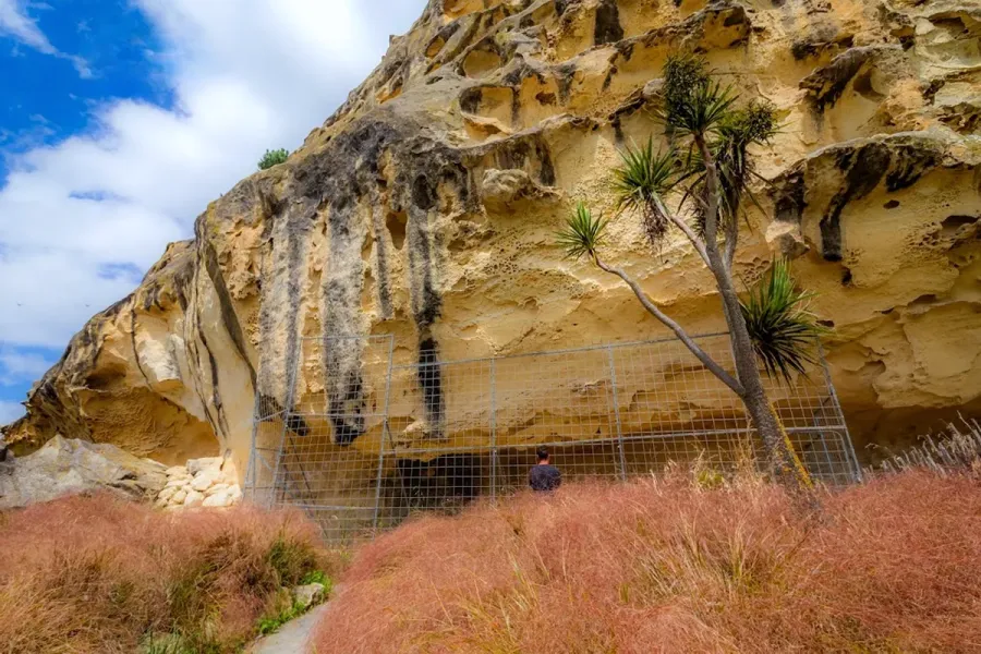 Takiroa Maori Rock Drawings