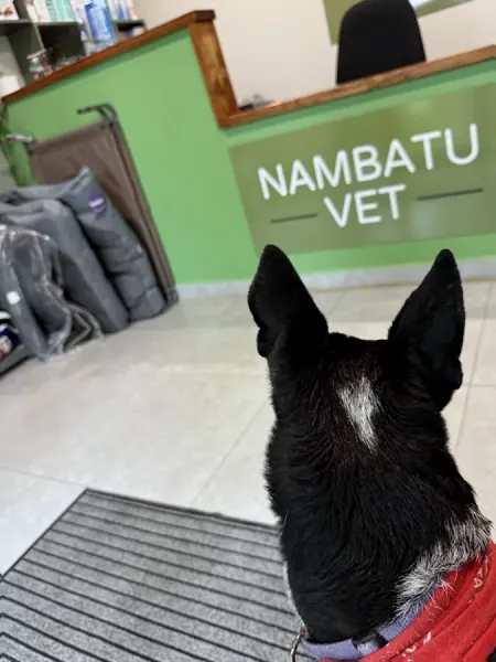 Nambatu Vet