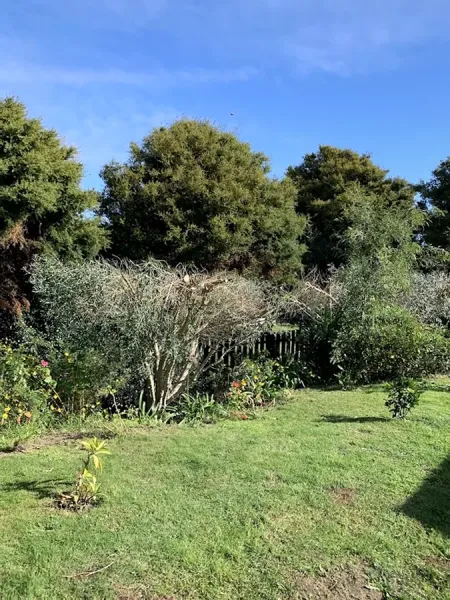 Horowhenua Tree & Garden 1 Limited