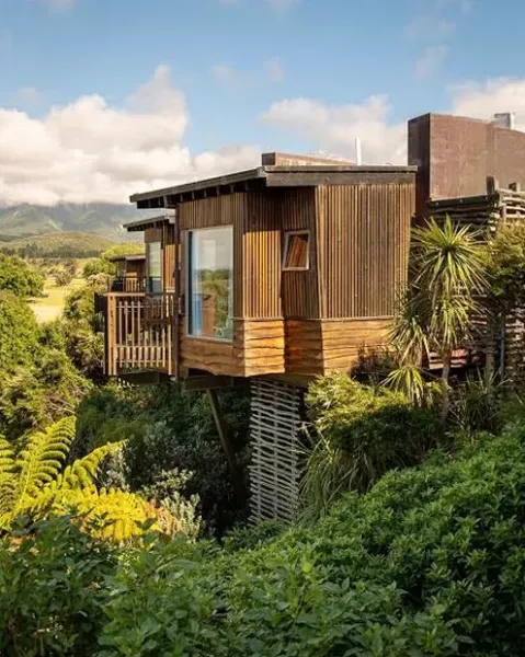 Hapuku Lodge + Tree Houses