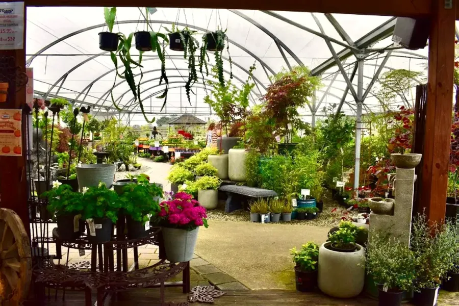 The Garden Depot Garden Centre