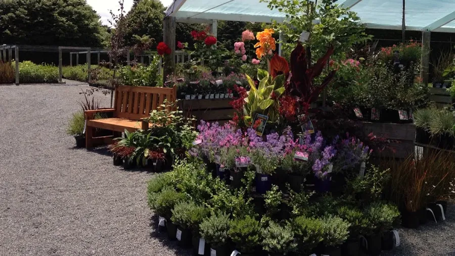 The Greenery Garden Centre
