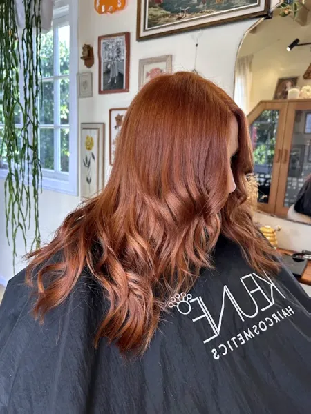 Honey & Ginger hair