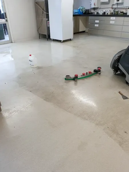 Otago Specialist Cleaning Services