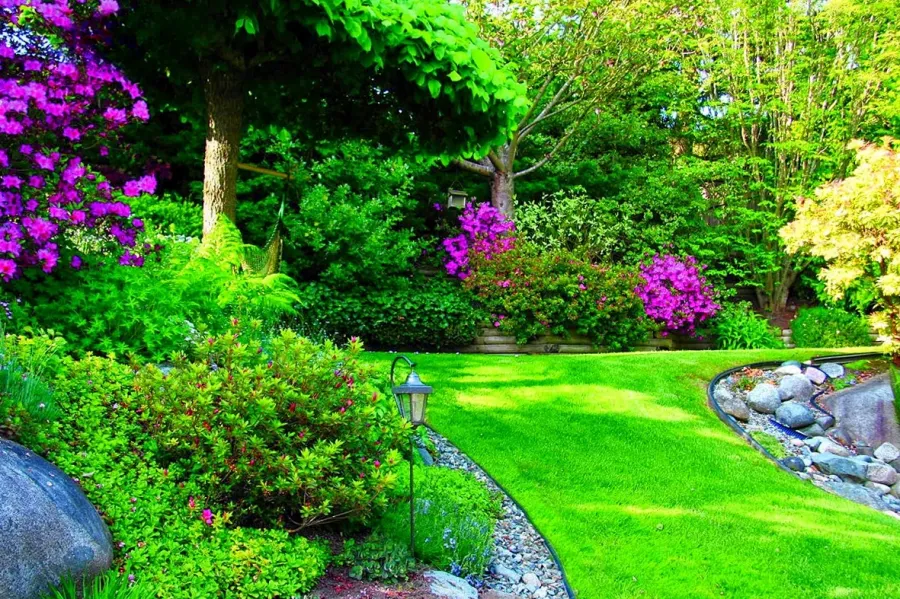Quail Landscape