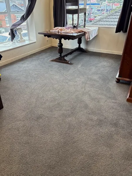 Care Carpet Cleaners Dunedin