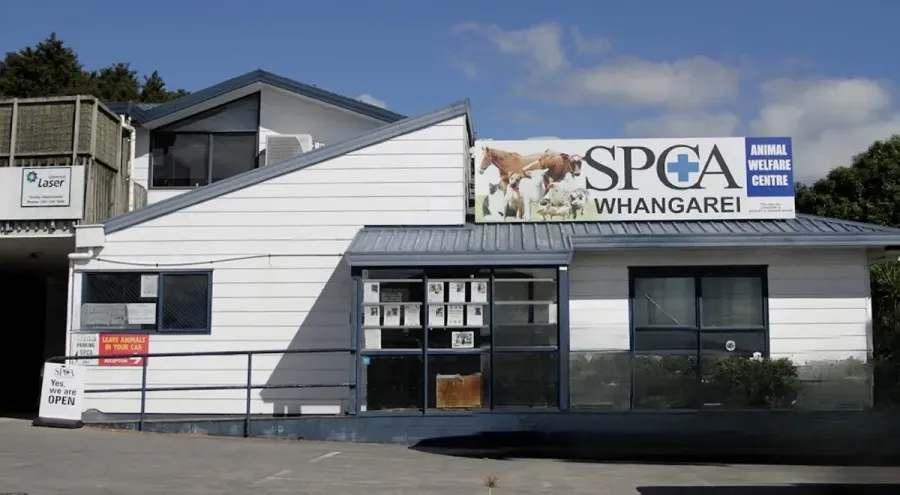 SPCA Whangarei Centre