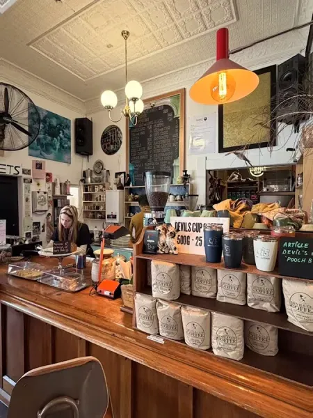 Article Café & Vintage/Retro/Arts Store
