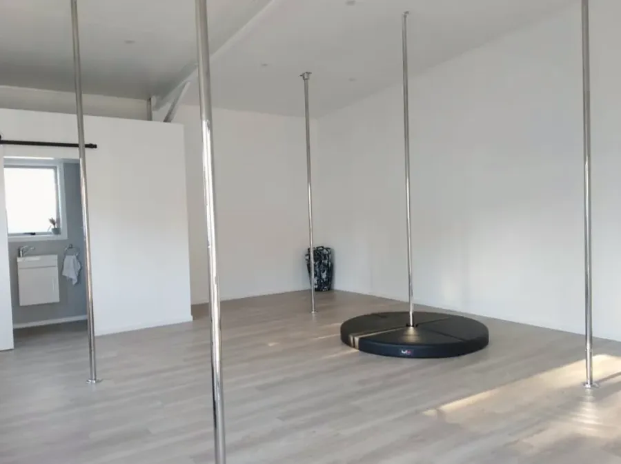 Artemis Pole Arts