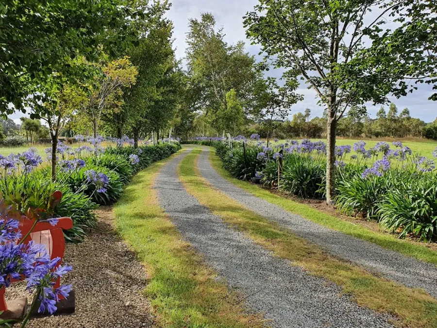Hattenburn Gardens