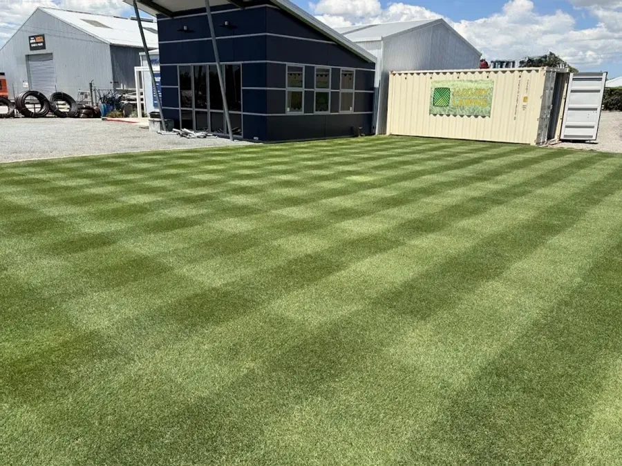Luxury Lawns