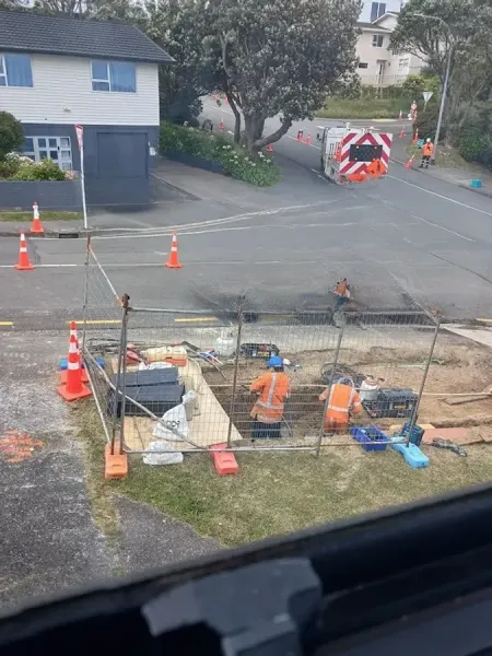 Wellington Electricity