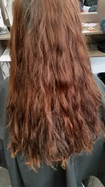 chocolate hair