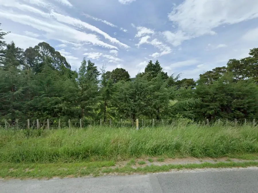 Wairarapa Lawn Masters