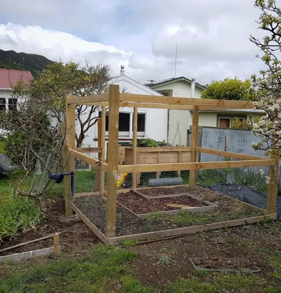 Tidy Bees Home & Garden Services