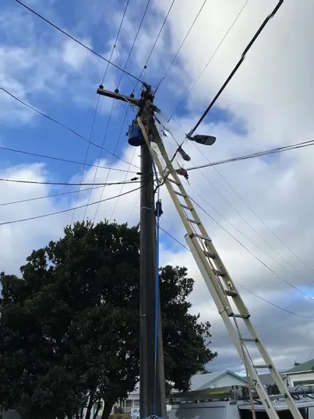 Fellow Electrical