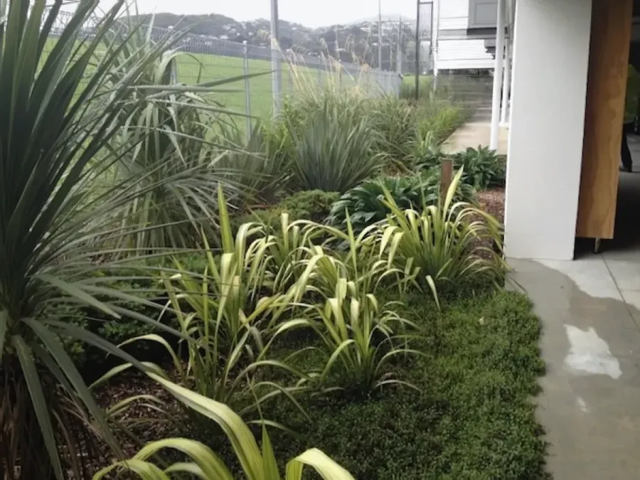 David Goodyear Landscape Architect