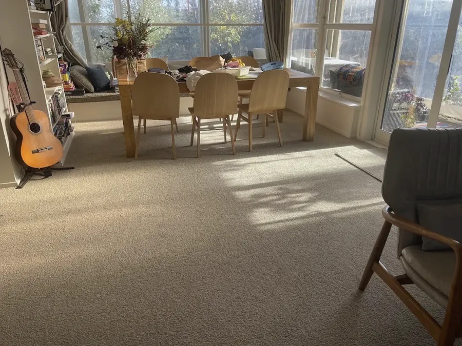 Central Plateau Carpet & Lounge Suite Cleaning