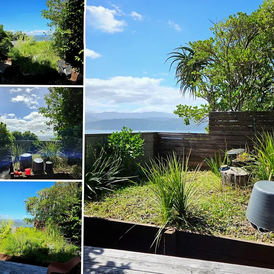 Aloha Gardening & Landscaping Wellington