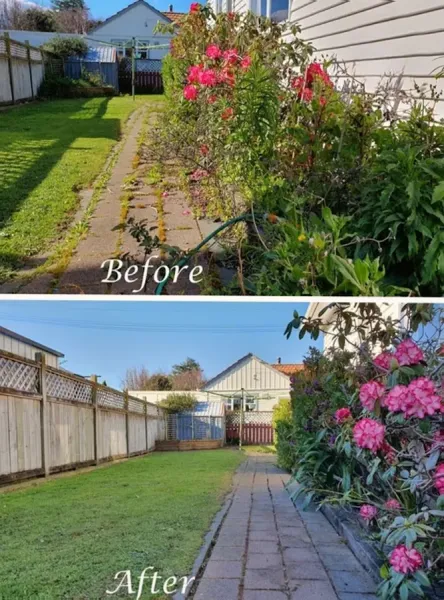 Lawnz Plus - Hutt Valley