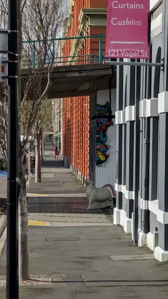 Carpet Court Dunedin