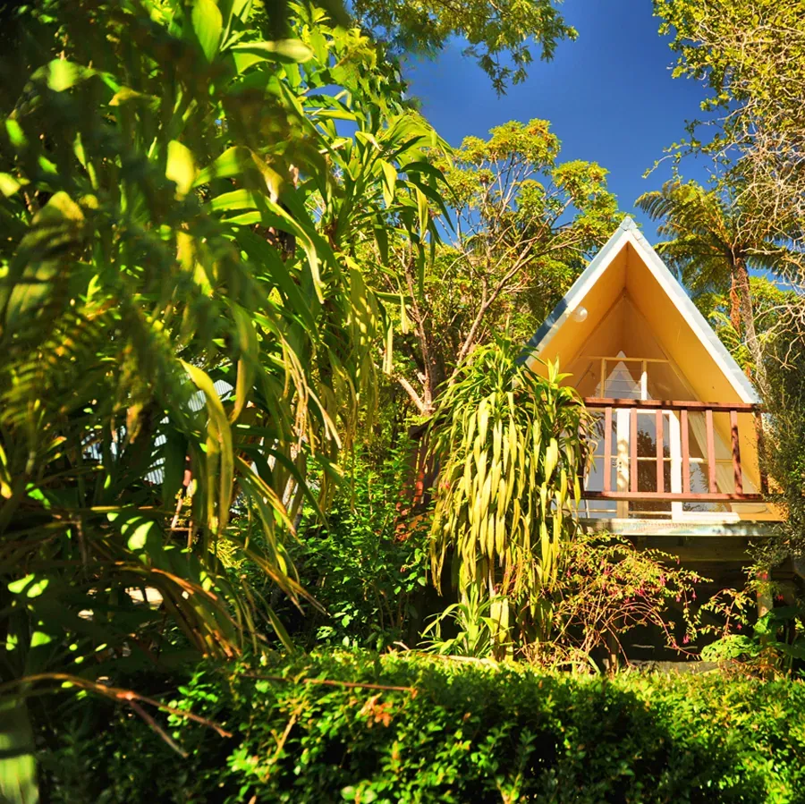 Punga Cove Resort