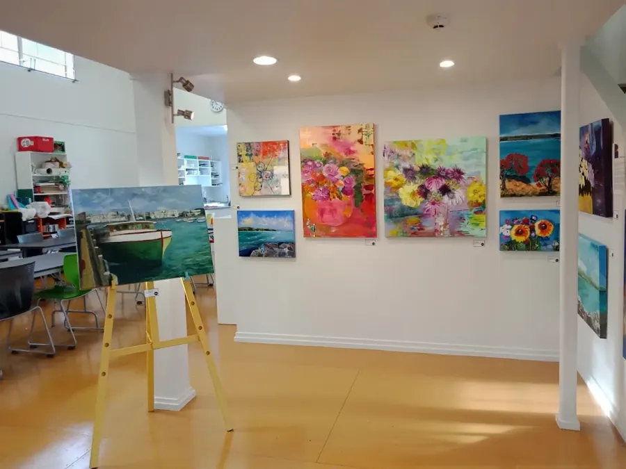 Creative Arts Napier Inc