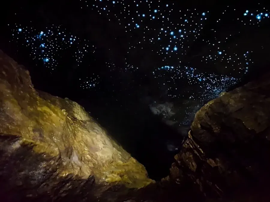 Down to Earth Waitomo - Glowworm Cave Tours
