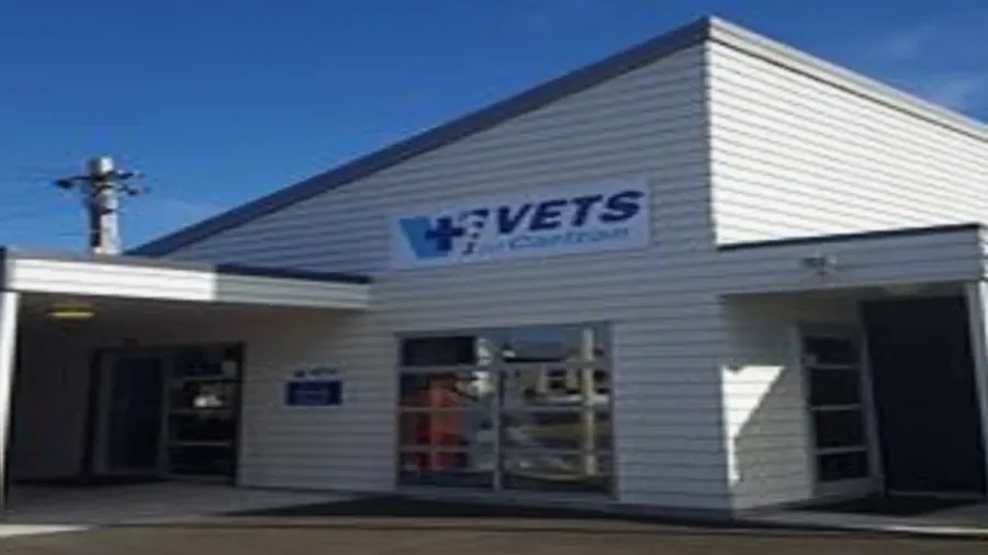 Vets on Carlton