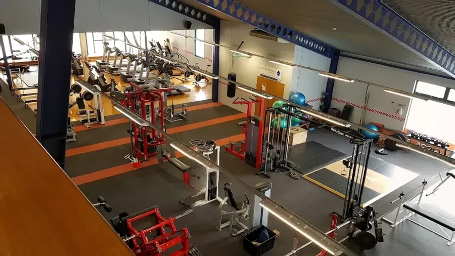 The Y - Southland
