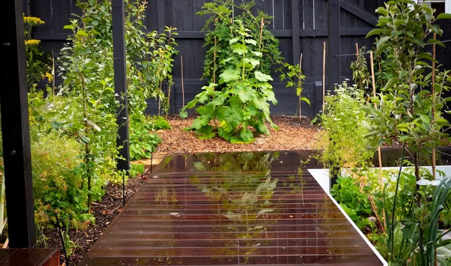 Living Edge Landscapes