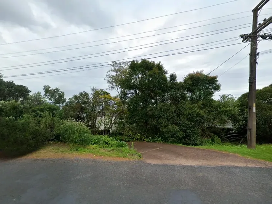 Kereru Studio