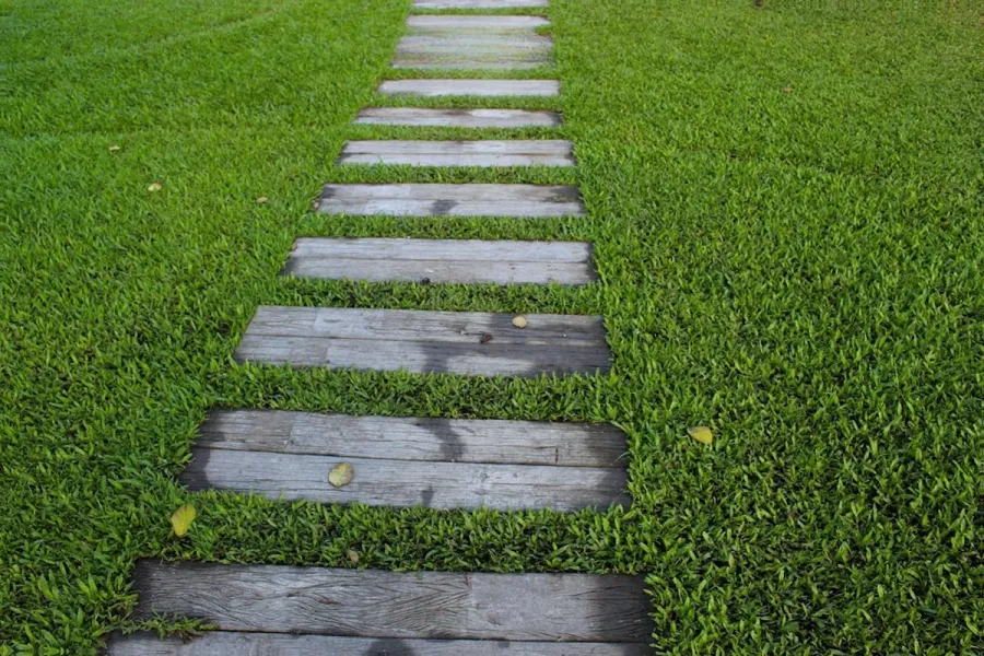 Greenvy
