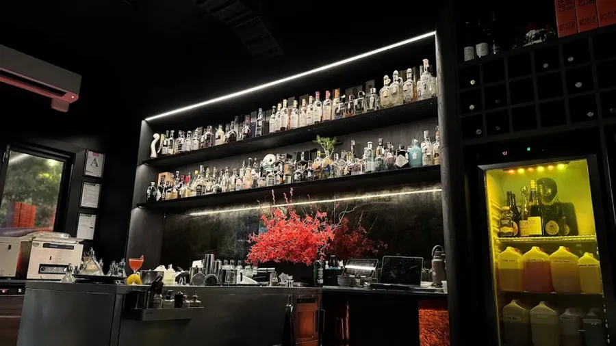Truth or Dare Bar | Auckland
