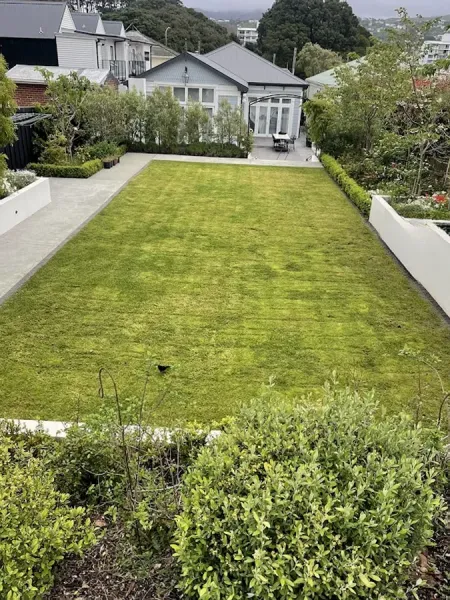 Lawn and Order