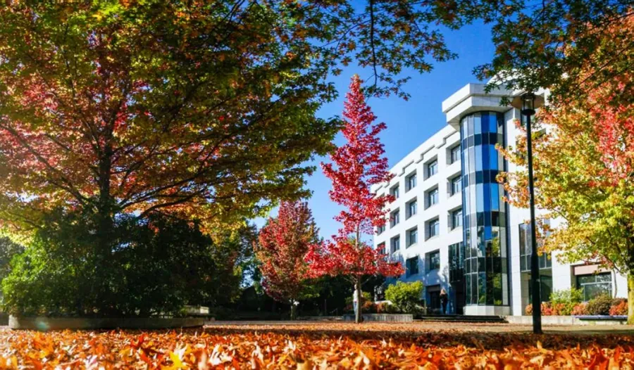 UC Business School