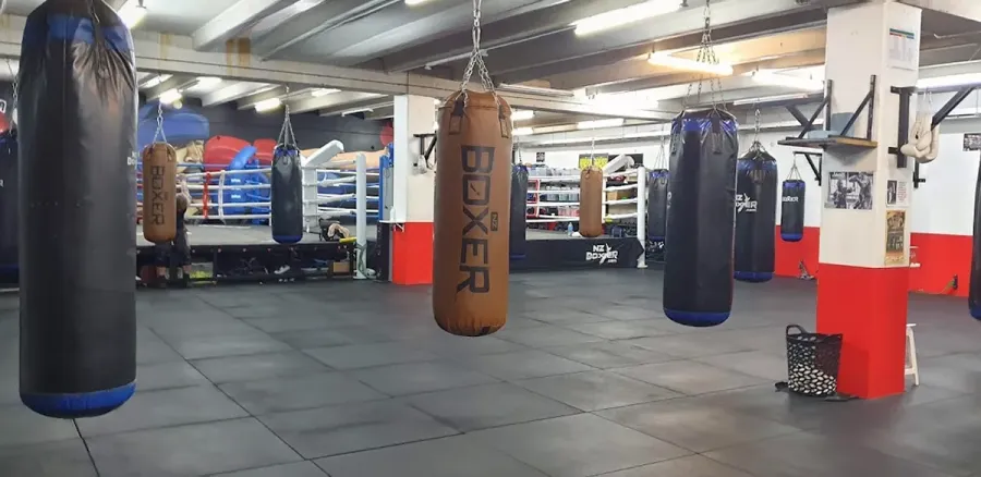 Box Office Boxing New Plymouth