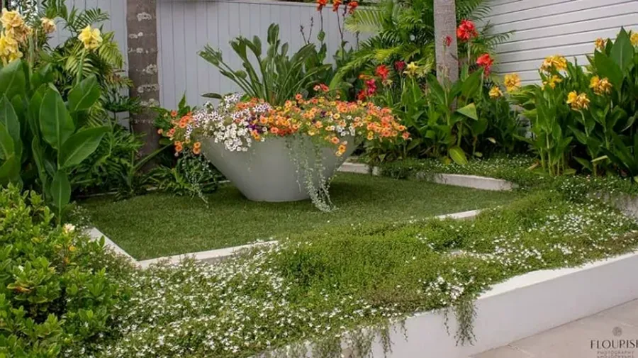Designer Gardens