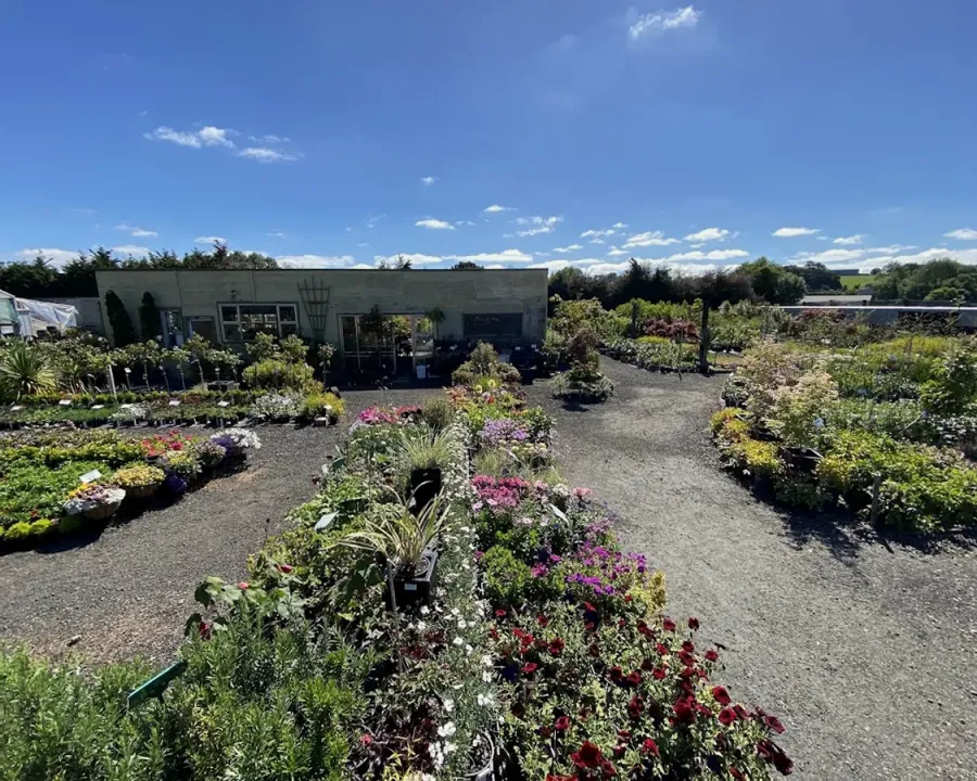 Greenrose Garden Centre