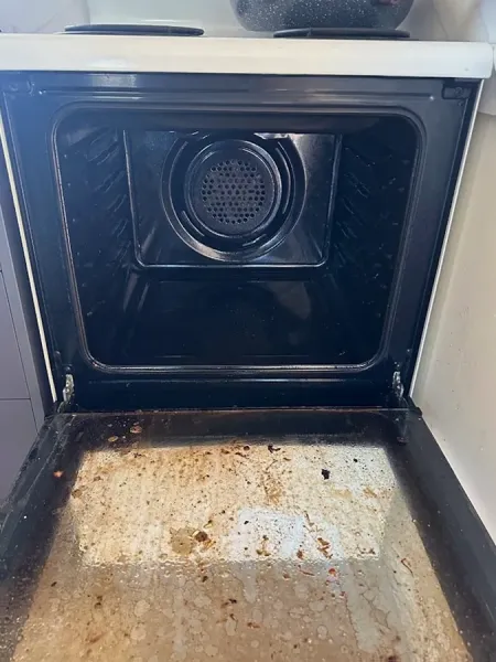 Fresh Earth Cleaning Ltd
