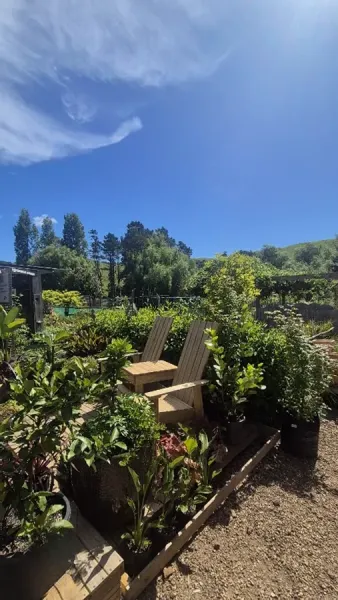 Sunshine Valley Company