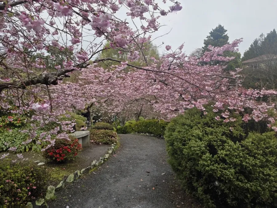 Blossom Valley at Aston Norwood