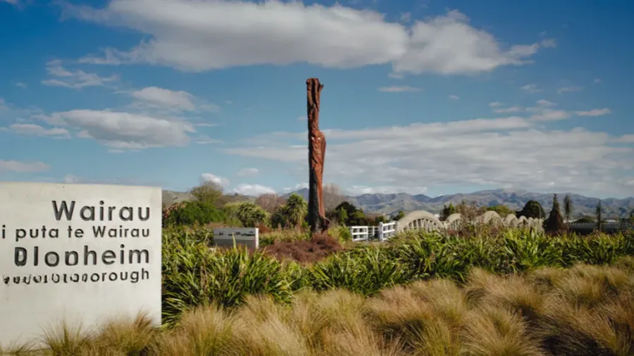 Wairau Electric