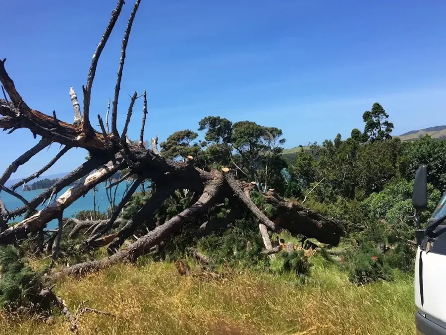 Waiheke Arborist & Tree Care Ltd